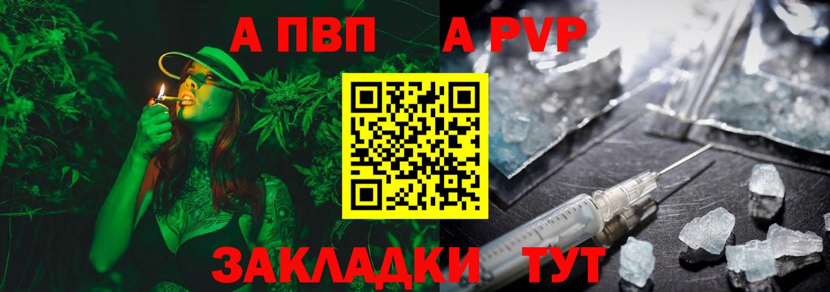 A PVP СК Новочеркасск