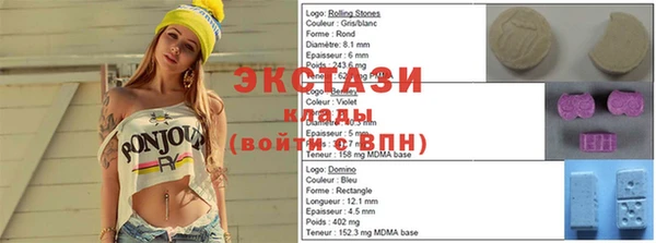 дживик Надым