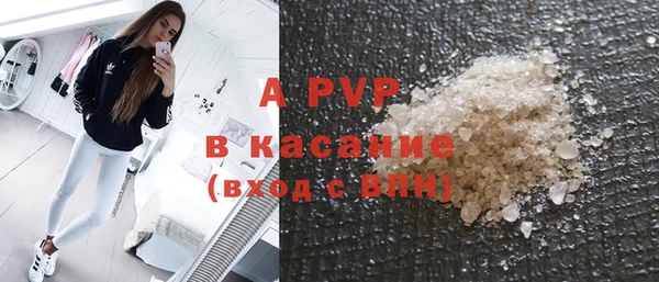 дживик Надым