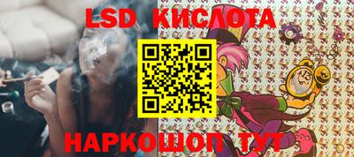 крисы Гай