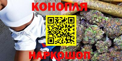 крисы Гай