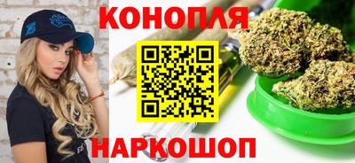 крисы Гай