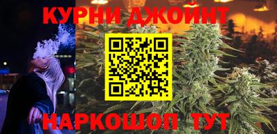 крисы Гай