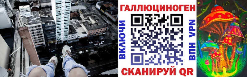мега как войти  мориарти состав  Галлюциногенные грибы Magic Shrooms  Новочеркасск 