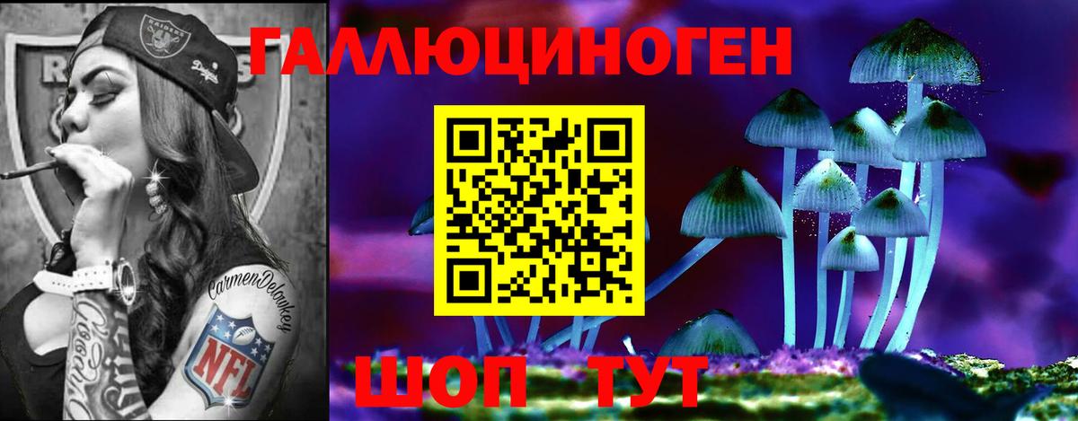 Псилоцибиновые грибы Cubensis Новочеркасск